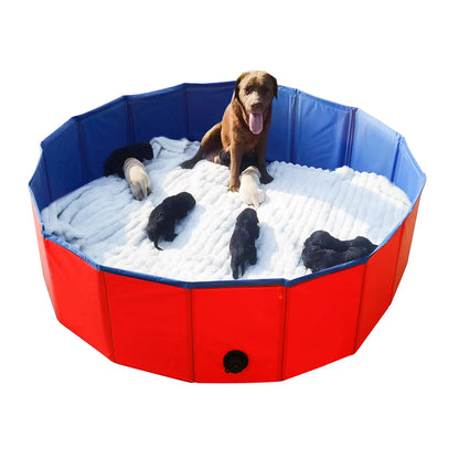Portable Dog Pool PVC Pet Swimming Bathtub Collapsible Hard Plastic Pool for Pets to Swim and Bath