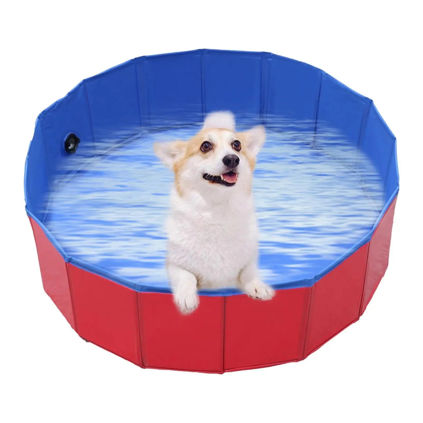 Portable Dog Pool PVC Pet Swimming Bathtub Collapsible Hard Plastic Pool for Pets to Swim and Bath